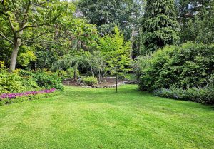 Optimiser l'expérience du jardin à Bayonville-sur-Mad